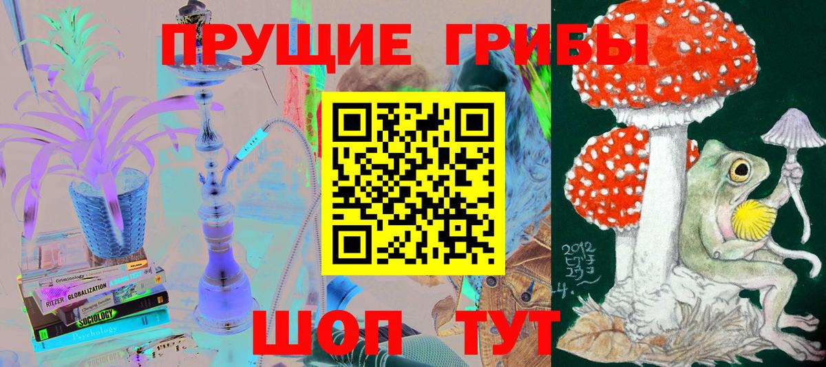 Псилоцибиновые грибы Psilocybe Стрежевой
