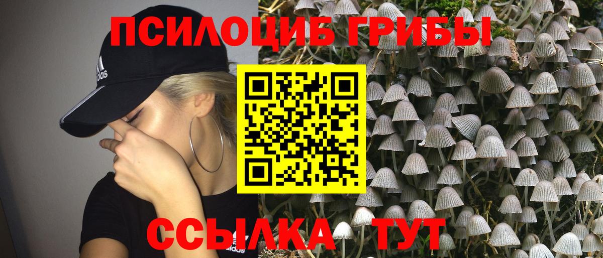 Стрежевой  Галлюциногенные грибы MAGIC MUSHROOMS  Вход с VPN  цена наркотик  Галлюциногенные грибы ЛСД 